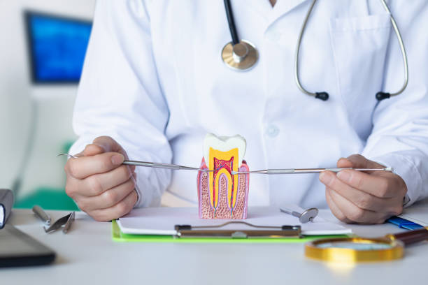 Best Knocked-Out Tooth (Avulsed Tooth) Treatment in Milwaukee, WI